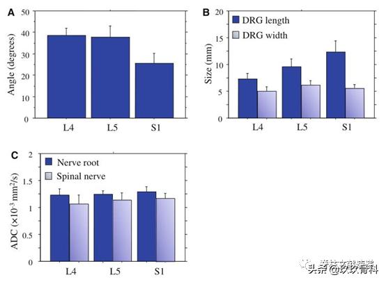 腰椎手术后神经根水肿要怎样治疗,腰椎融合术后神经根水肿吃中药