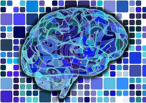 cnn最新研究消息,cnn公布最新研究