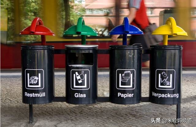 全国人民看江浙沪,上海垃圾分类现在怎样了