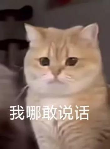 吃瓜表情包黄脸,什么表情包可以对付吃瓜表情包