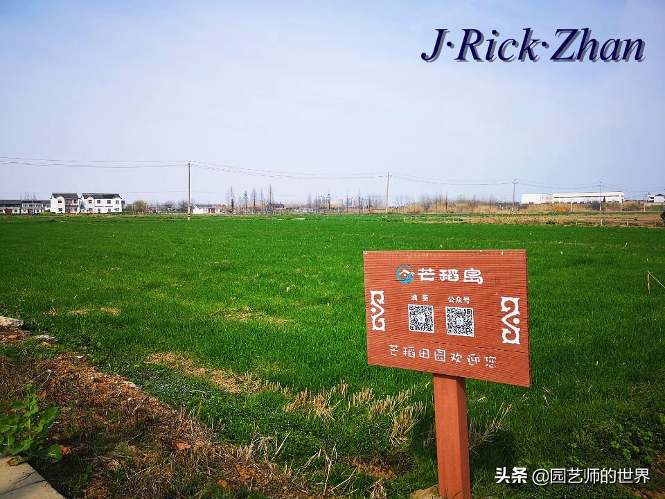 城市蔬菜园景观设计,蔬菜花园造型