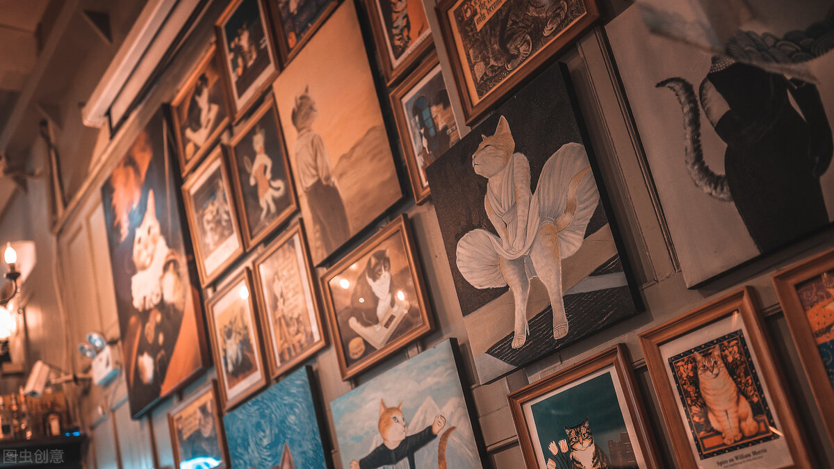 厦门顶级猫街介绍,厦门猫街值得去吗