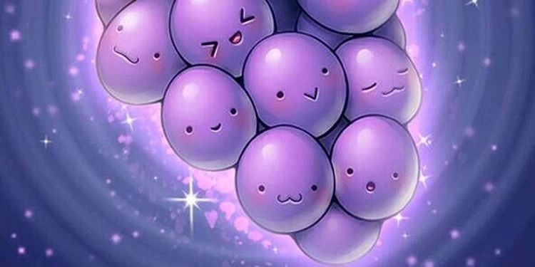 孕妇出血,小心得了“葡萄胎”!