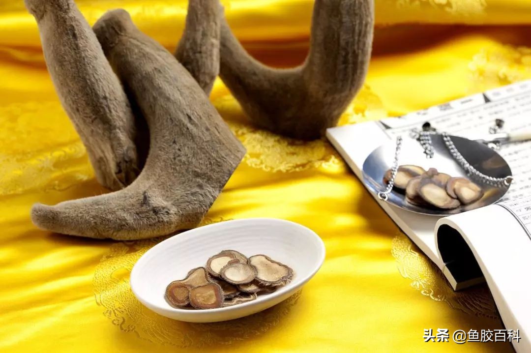 鹿茸用锅煮还是破壁机做有营养,鹿茸最佳吃法怎么吃