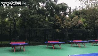 巴适自驾旅游攻略,巴适小众公园