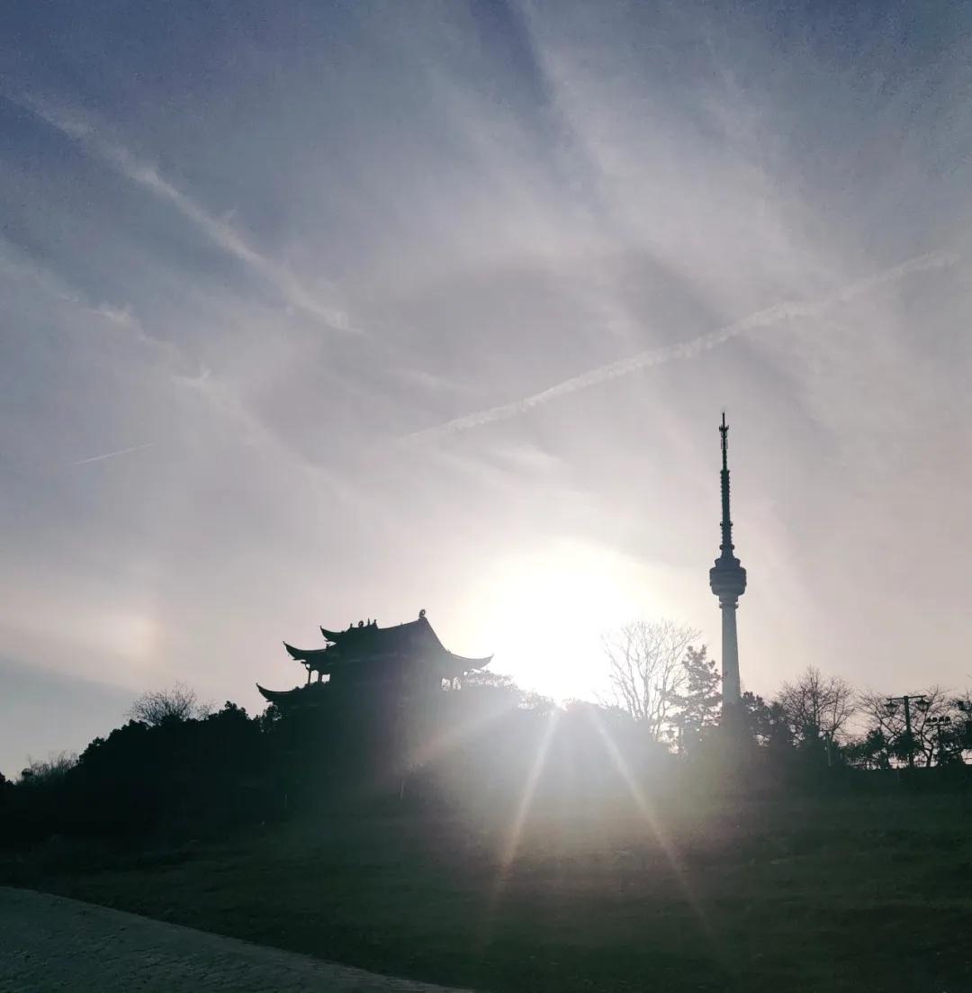 战地日记简报,战地日记稿件