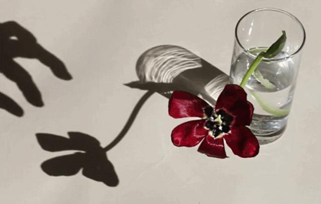 在家拍摄100个创意技巧,在家拍摄100个创意摄影方案