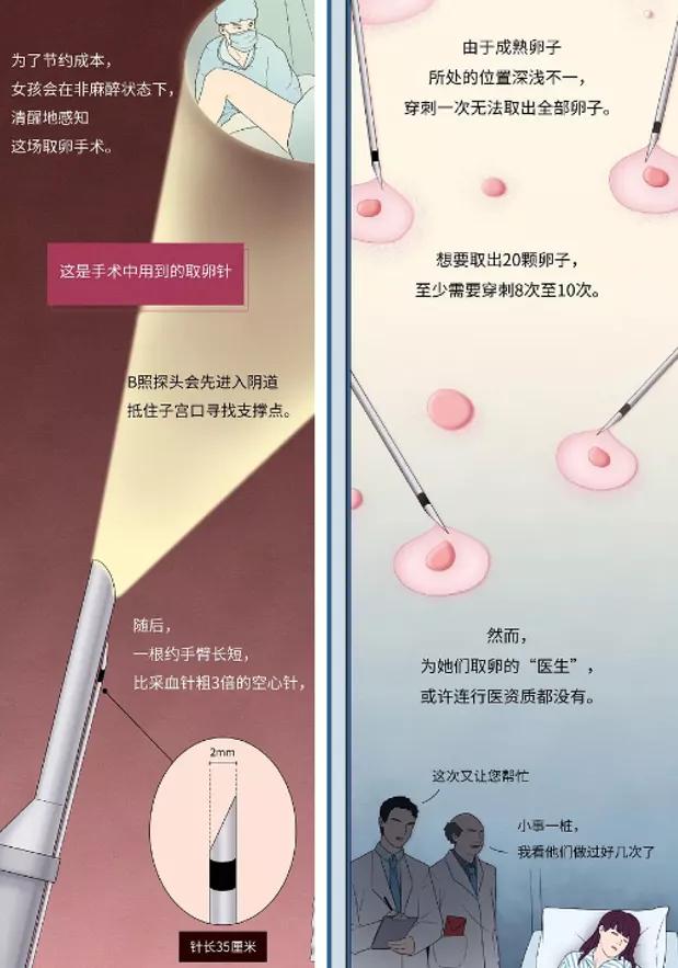 郑爽陷“代孕弃养”风波遭痛批！“借腹生子”的买卖，远比你想象得更可怕