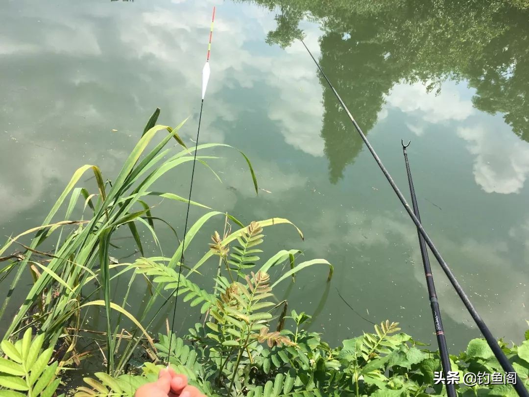 钓鱼遇到大鱼感觉要断竿怎么操作,抛竿钓鱼走水最佳解决方法