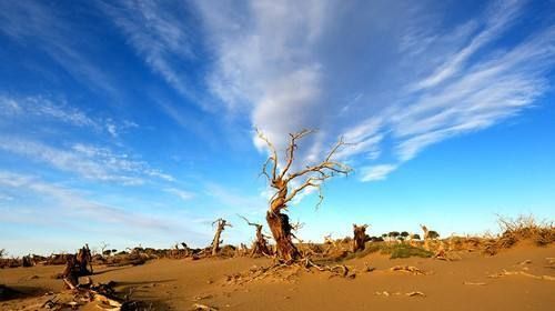 教改20年，三线以下城乡素质教育的问题和希望（原创