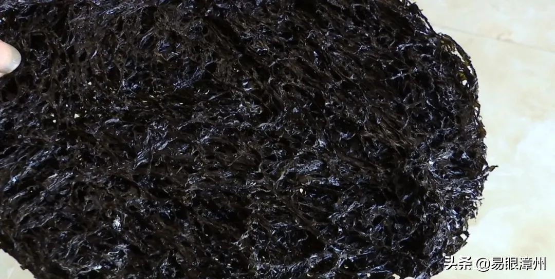 海上有好多黑色白色的东西是什么,海里的黑黑的东西好吃吗