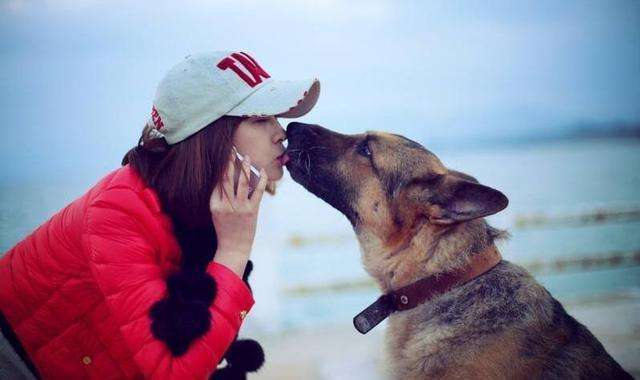 狗狗为什么喜欢舔主人屁股,狗狗为什么喜欢舔肚子呢