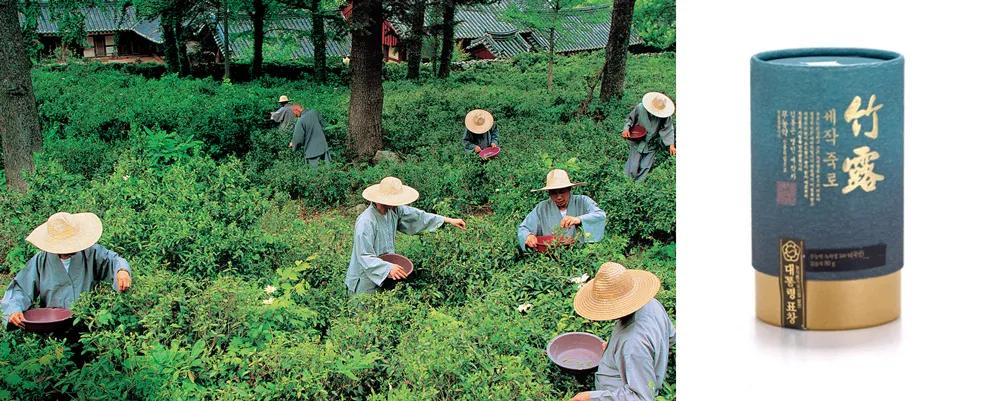 竹林被韩国申遗成功了吗,全球唯一申遗的古茶山
