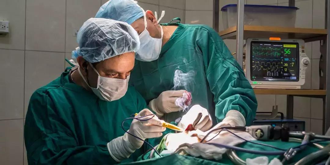 哪个保险公司的重疾险最好正规,重疾险口碑最好的保险公司2023