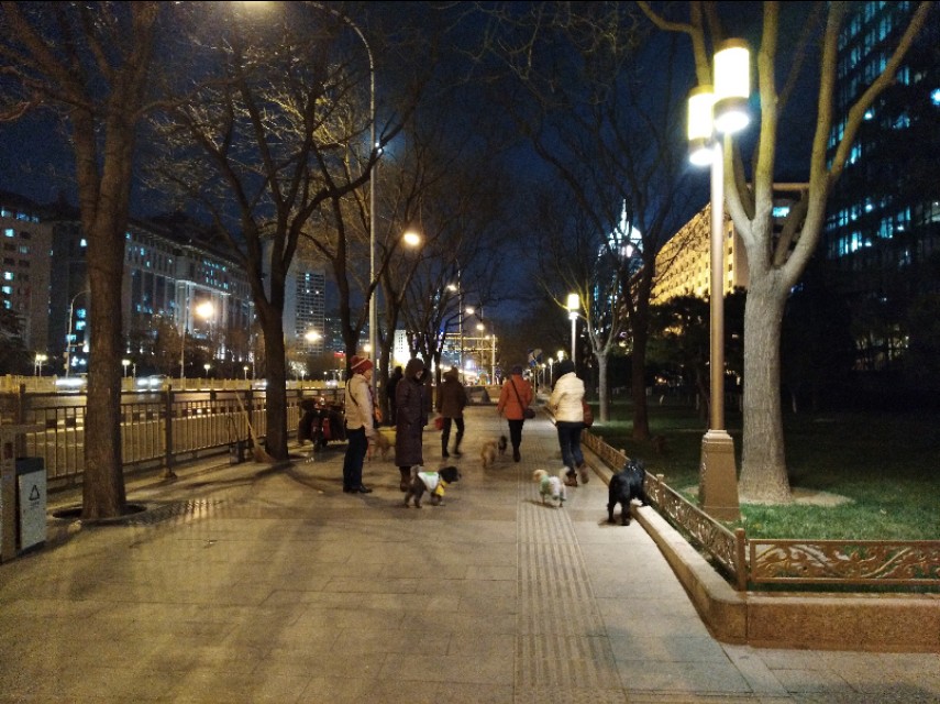 月夜漫步图片,月夜漫步完整版