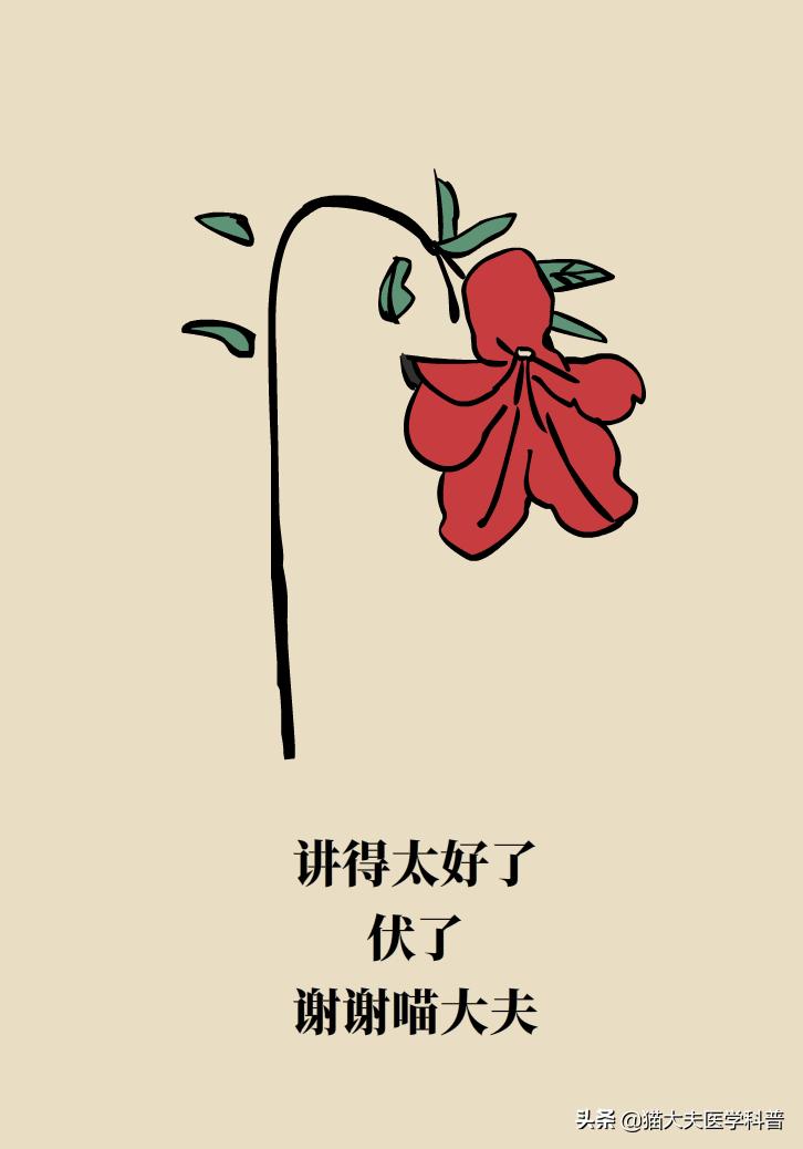 霉菌性阴道炎真的是里面“发霉”了吗？药师教你“抗霉”*法大**