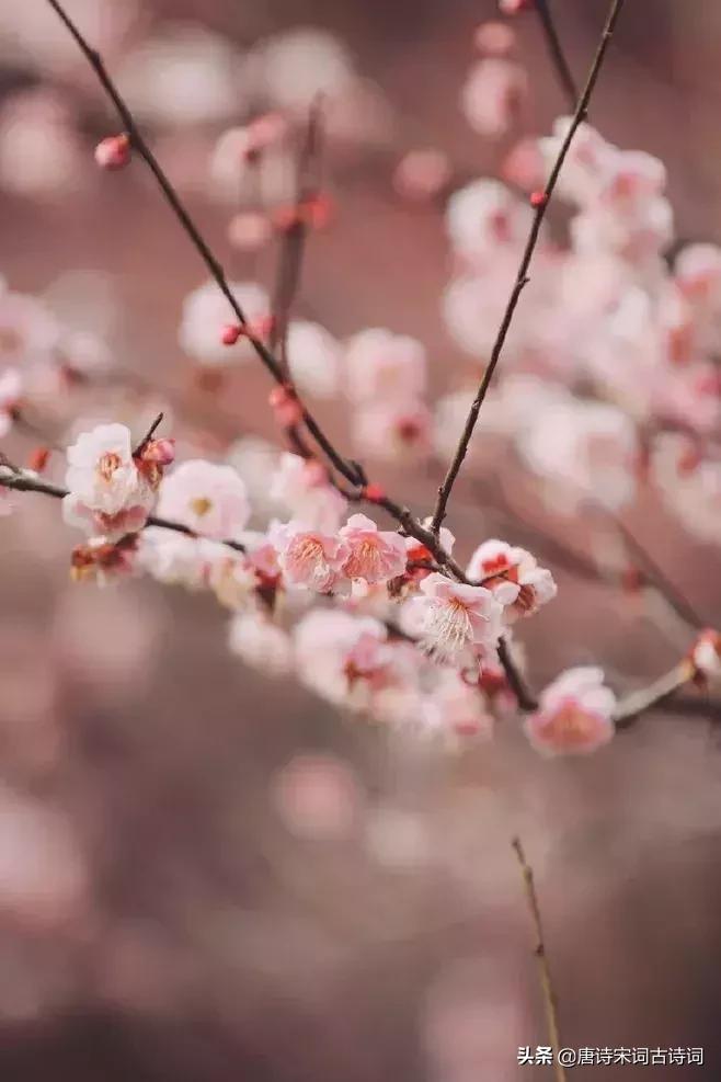 感慨人生艰难的诗句,感慨生活不易但励志的诗词