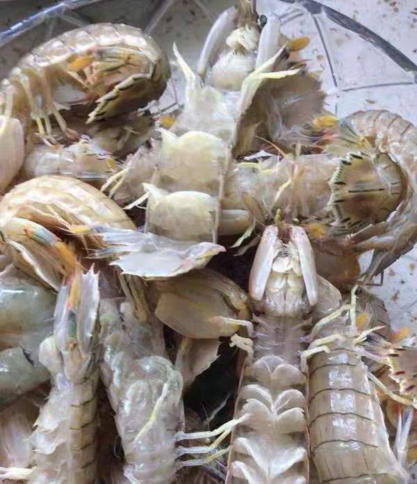 独一无二的油焖虾,虾独一无二