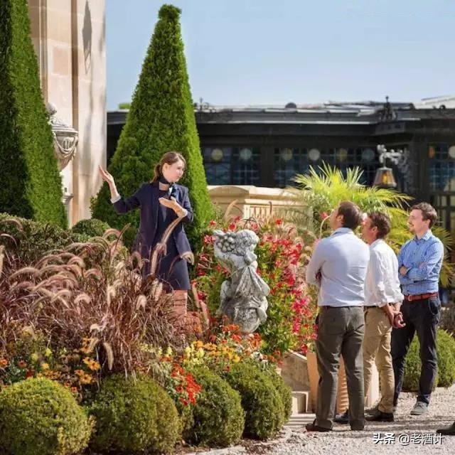 波尔多是西班牙著名的葡萄酒产区,法国葡萄酒波尔多产区