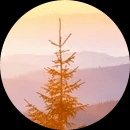 创业前你要思考的是什么,对于创业的理解和感悟