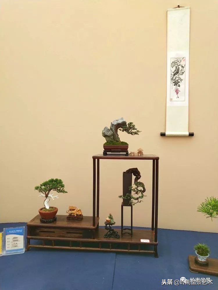 我国盆景艺术的发展现状,中国盆景发展现状论文