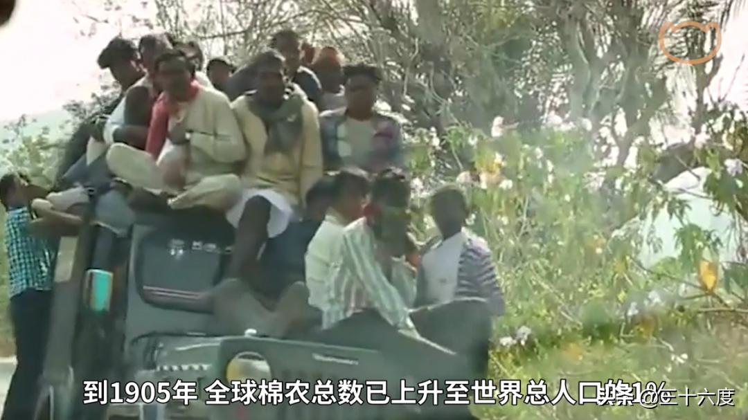 新疆棉花涉嫌污蔑的品牌名单,新疆棉花被污蔑