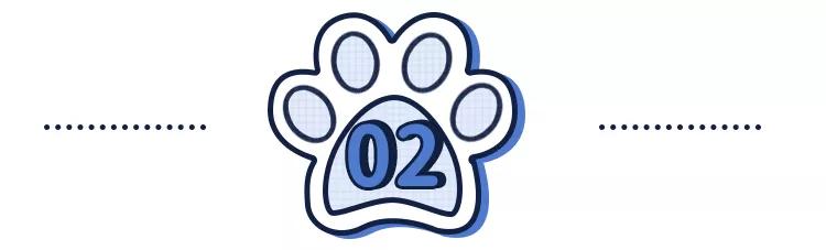 养猫狗常备药,宠物猫狗常用药