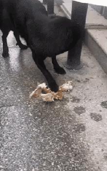 这是来自东方的神秘力量,我们对美承诺,绝不首先使用局座!