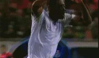 还记得马丁斯吗？那只在梅阿查和圣詹姆斯公园翱翔的雄鹰