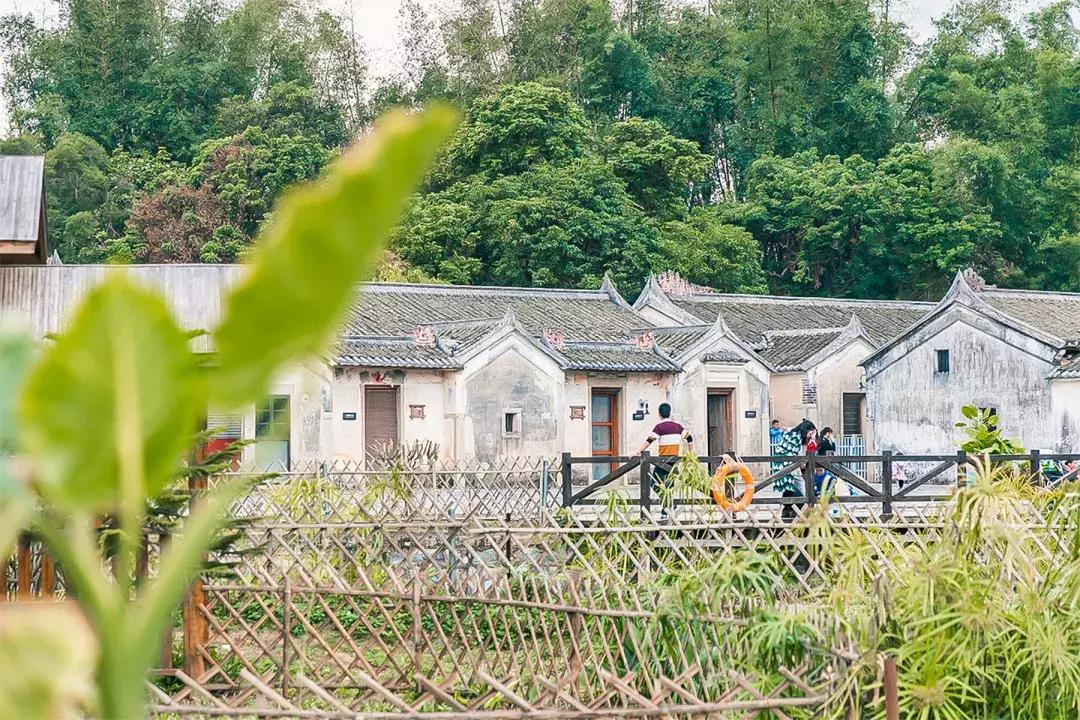 观澜有没有价值,观澜发展得起来吗