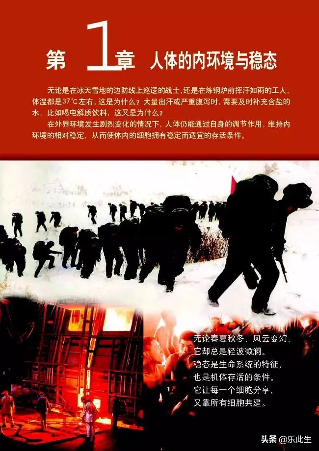 高中生物必修3电子教材,必修三稳态与环境的知识点人教版