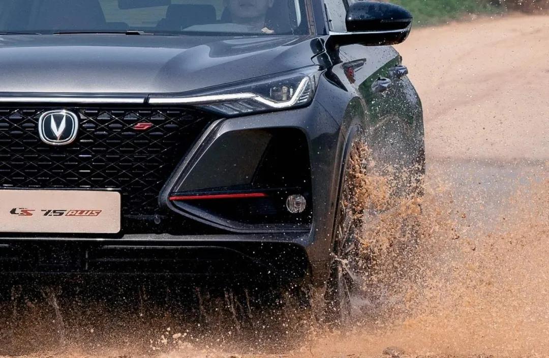 有退出股市的人吗,有退有进才是股市王道