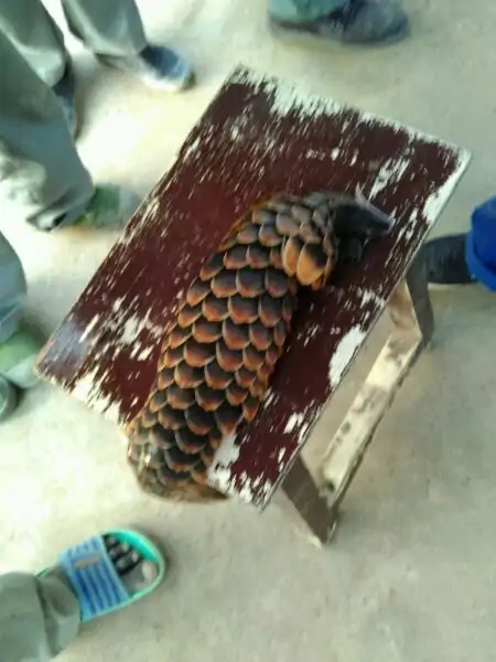 带你去赤道看海,赤道几内亚国家地图