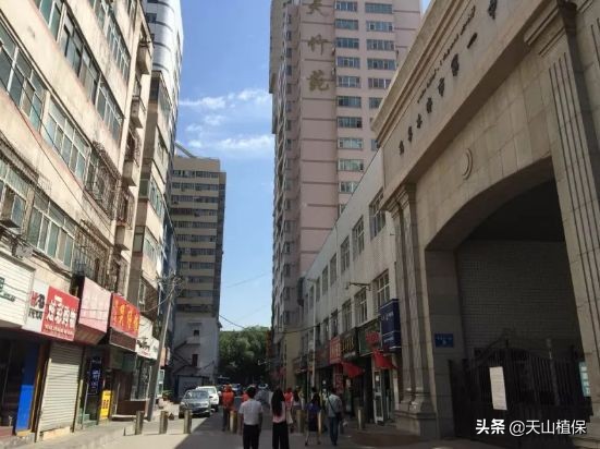 迪丽热巴古力娜扎见过面吗,迪丽热巴跟古力娜扎合影