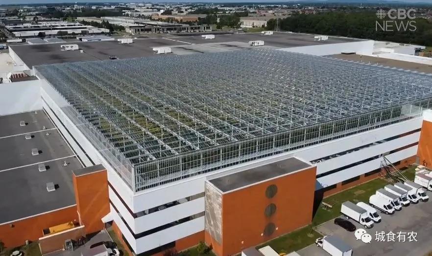 农业科技发展中的30项标志性成果,农业科技标志性成果发布