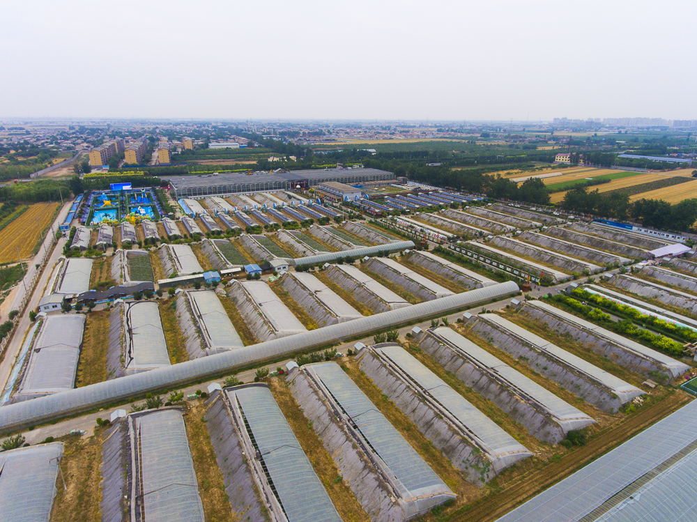 #毕业旅行啦#石家庄慧灯庄园，夏日里寓教于乐爽歪歪