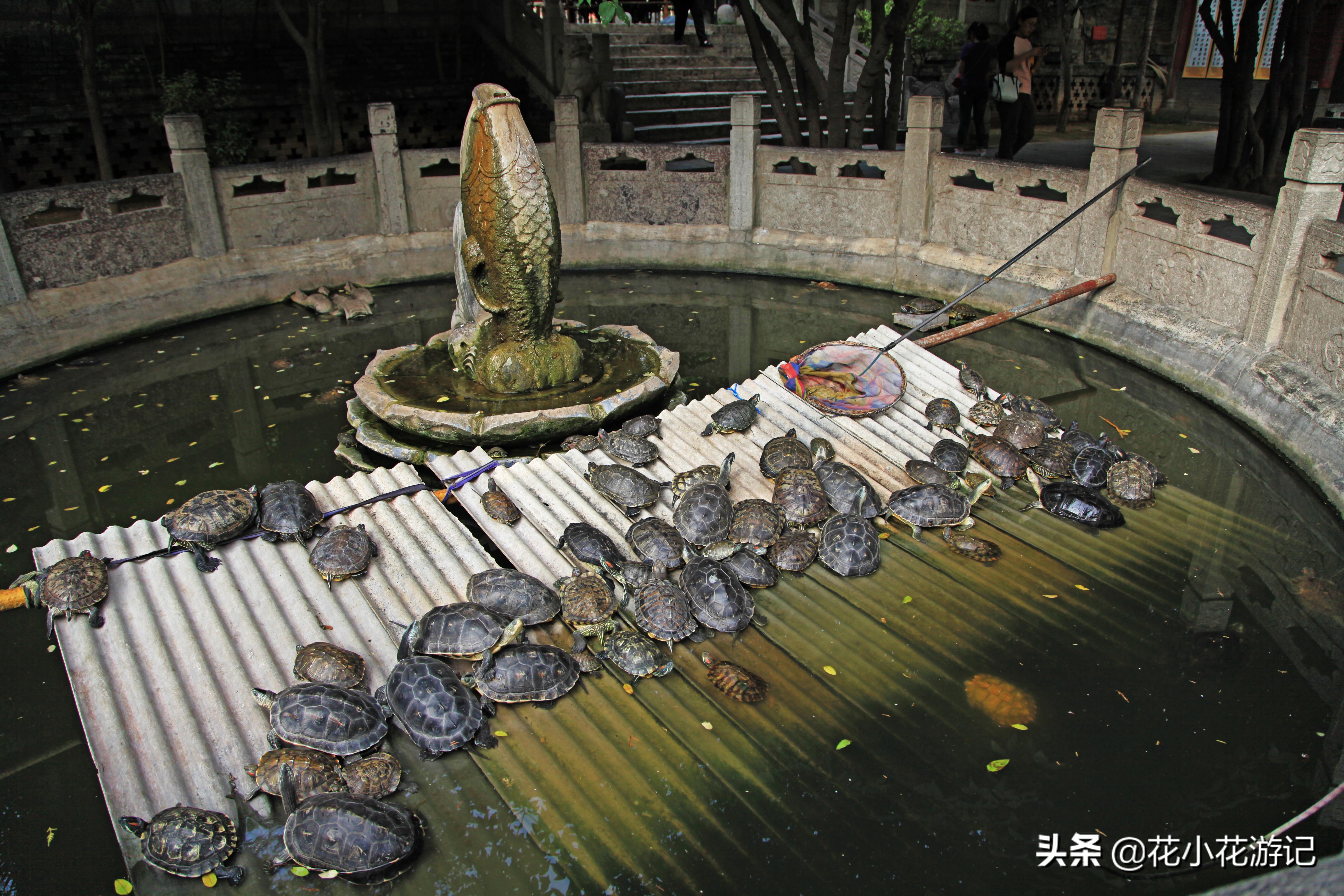 澶у叴鍠勫鐨堜緷娉曚細,澶у叴鍠勫澶ч泟瀹濇绁堢璇电粡