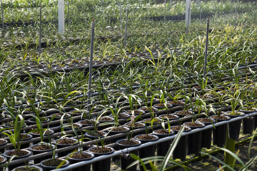 南靖一道美丽的风景线,南靖景区有哪些好玩的