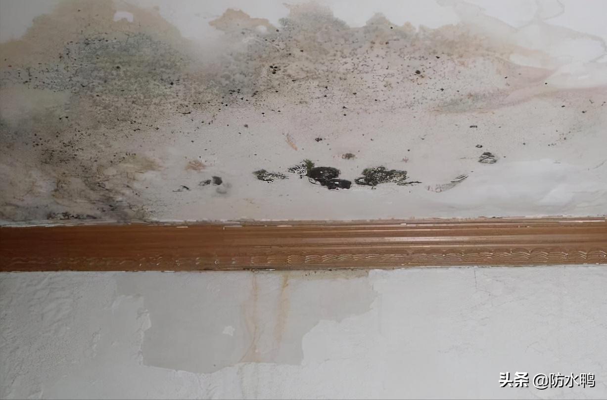 屋顶漏水最好的解决办法小视频,屋顶漏水怎么办最快的方法