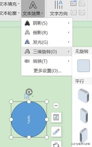 wps如何把圆形图标插入文字,wps圆形图表加文字