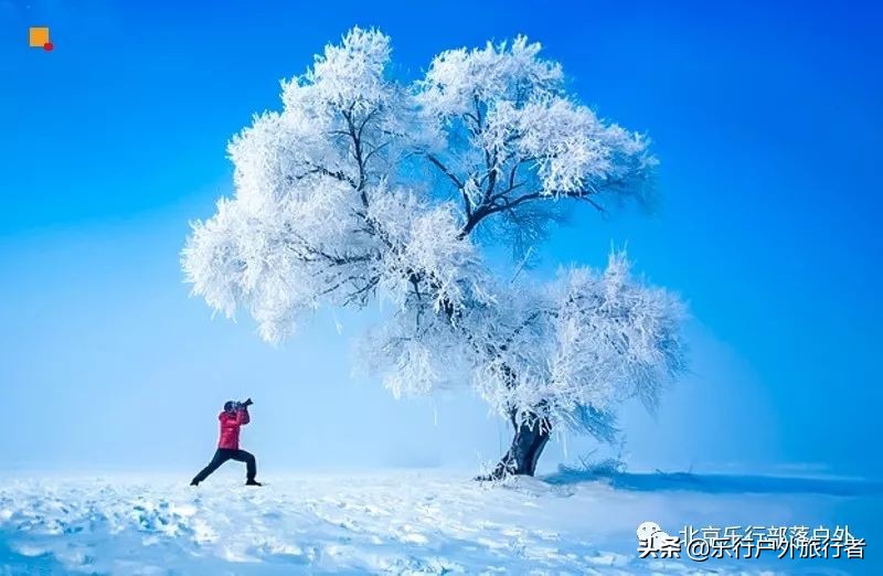 冬天漠河白桦林童话世界完整视频,冰雪大世界长白山雪乡六天五晚