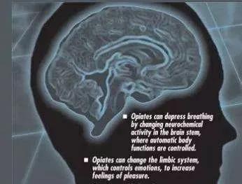 造孽啊！吸毒后的男女如此不堪入目！