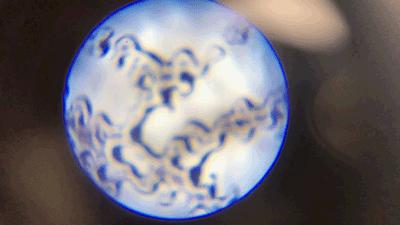 不务正业的显微镜,显微镜不务正业