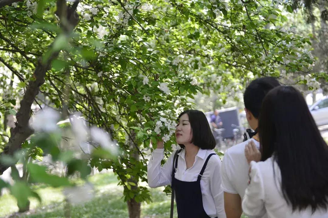 天津桃花堤赏花时间2021,天津桃花堤桃花什么时间开花