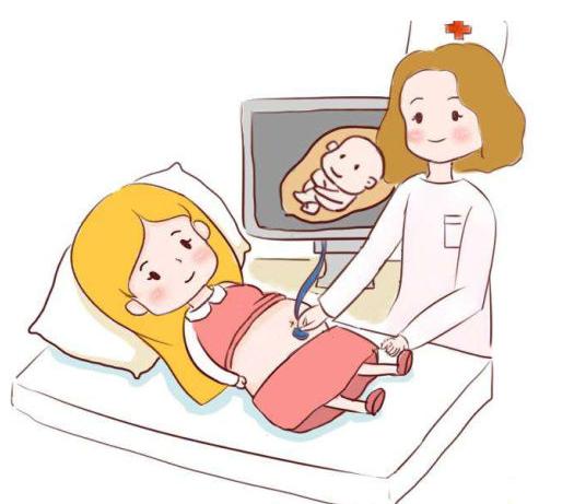 孕期排畸做什么检查,孕期检查费用一览表