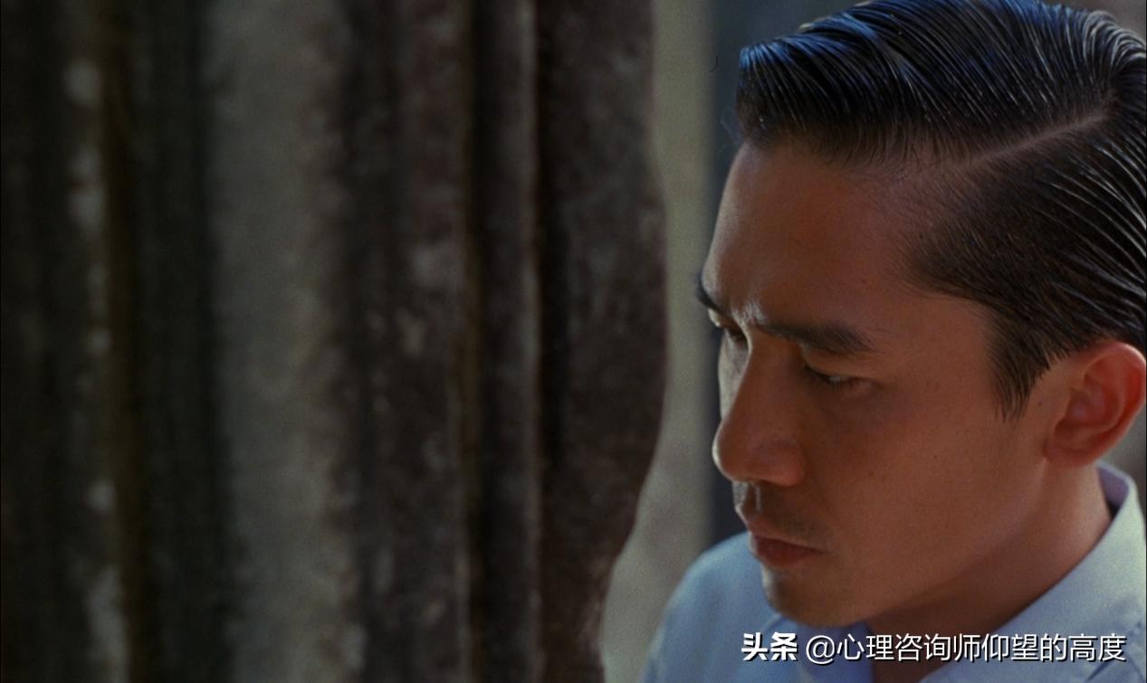 最好的树洞是什么,生活中的树洞是什么