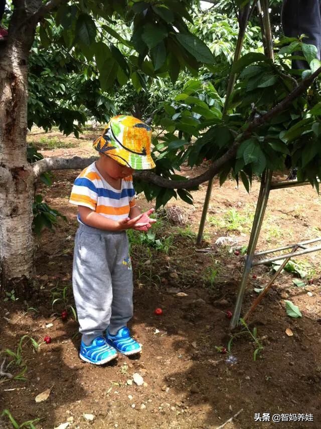 40几岁就不要生二胎了,40岁的我还要不要坚持二胎