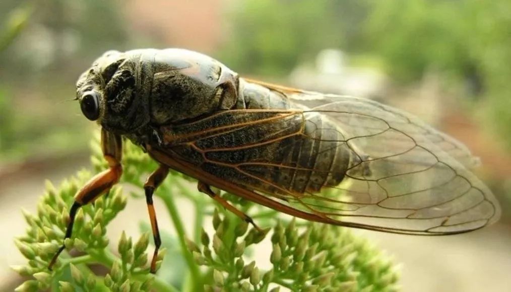好奇宝宝会问的问题,好奇宝宝每日三问