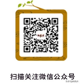 散打高手都是哪里人,散打中的武术高手
