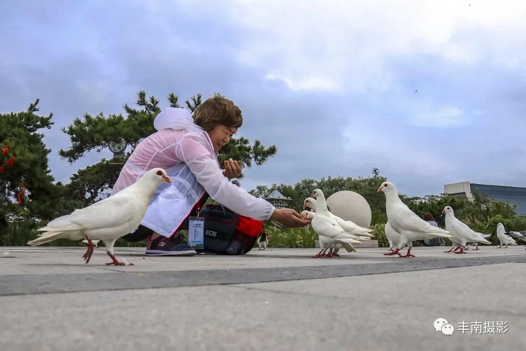 发现生活之美完整版,发现生活之美